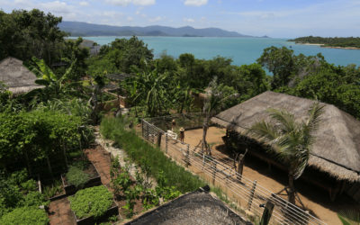 Six Senses Samui presenta su Granja de la colina