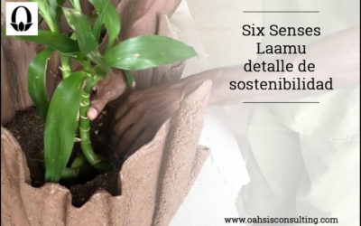 Six Senses Laamu, detalle de sostenibilidad